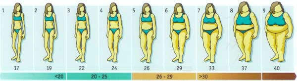 Female bmi 21 BMI Percentile
