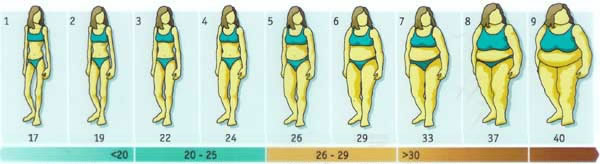 Bmi Figure Charts