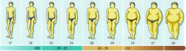 BMI chart for men